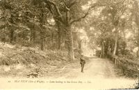 Picture of Lane leading to Sea Grove Bay  1907